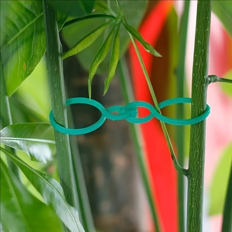 125Pcs Garden Plant Support Ki - đánh giá và giá Tie Clip Set