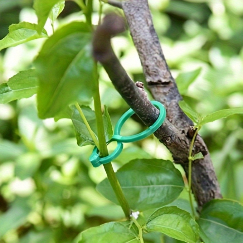 125Pcs Garden Plant Support Ki - đánh giá và giá Tie Clip Set